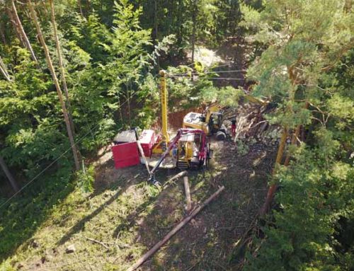 Schädlingsbefall im Pesenbachtal