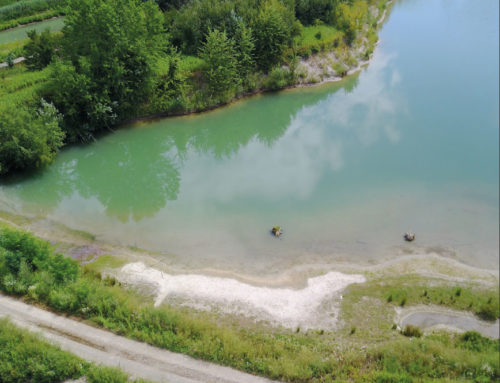 Projekt Kiesabbau Bergheim – Information und Übersicht